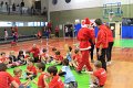 F.Natale 12 (50)